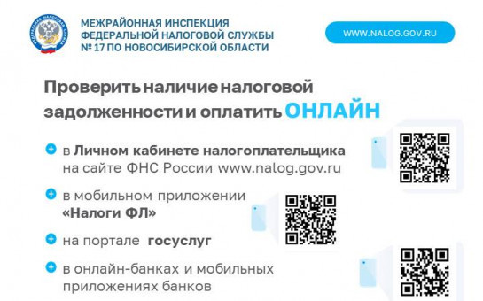 Как узнать о наличии налоговой задолженности и погасить ее